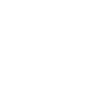 Annual Multimedia Award logo